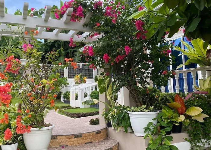 Sunshine's Haven 3*